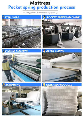 Volledige lichaamsondersteuning 4-7 draait Matras Pocket Spring Coil Net voor Zero Motion Transfer