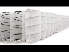 Sofa Pocket Spring Coil